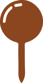 Brown Pin