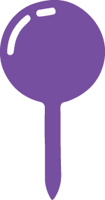 Violet Pin